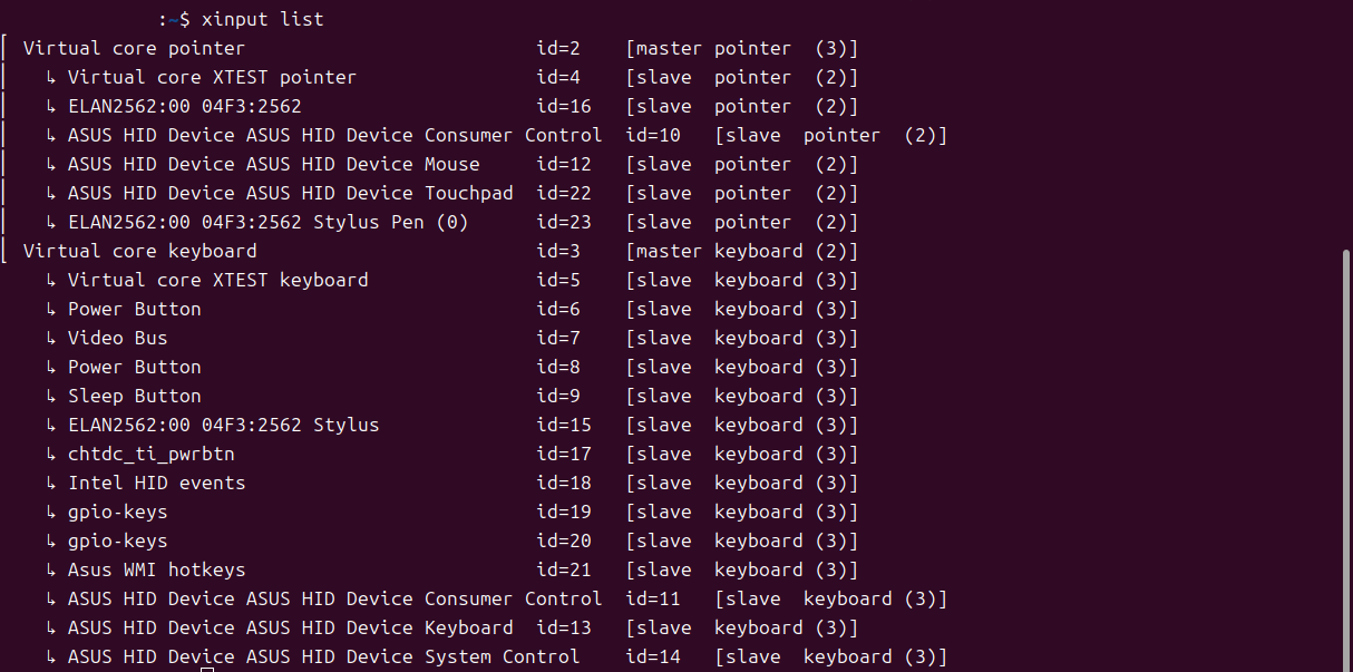 xinput on xorg